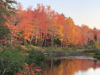 It's easy to recognize the signs of country life