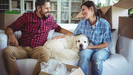 Moving with your furkid?  Be sure to plan ahead!