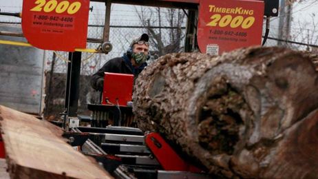 Photos: Lumber Logs makes use of trees from urban 'forests'