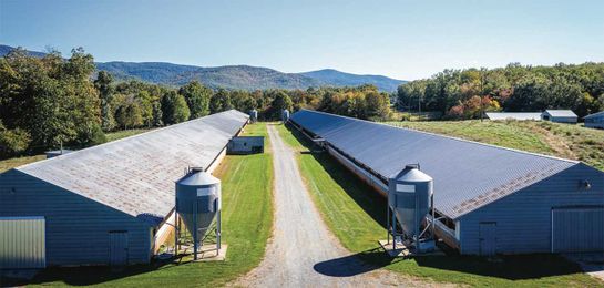 Talking Turkey With Clients