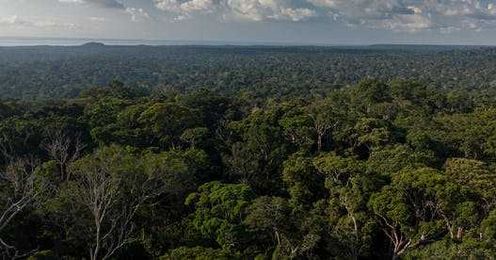 New science: restoring forests, coastal protection and more