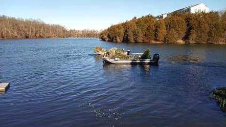 Merry fishmas! DWR uses discarded Christmas trees as fish habitats