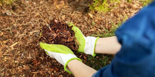 The Do's &amp; Don'ts of Garden Mulching