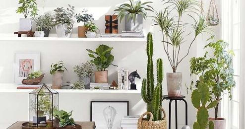 34 Artificial Plants, Trees, and Flowers That Don’t Look Fake