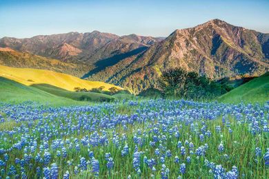 Why Indigenous Land Repatriation Is Rare in the Bay Area