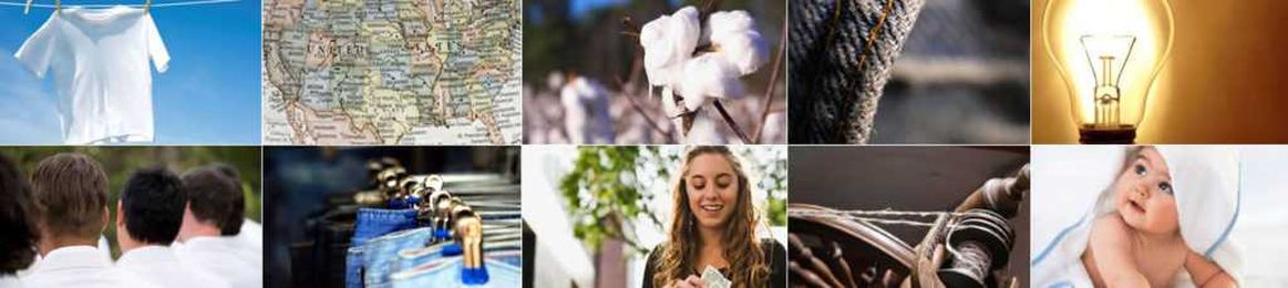 Did You Know? Interesting and Educational Facts about Cotton