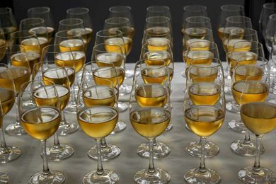 The Differences Between Horizontal and Vertical Tastings