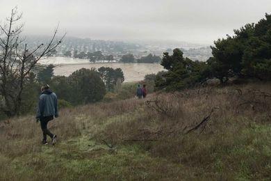 Help me care for younger brother & pay rent, organized by Ari Salas