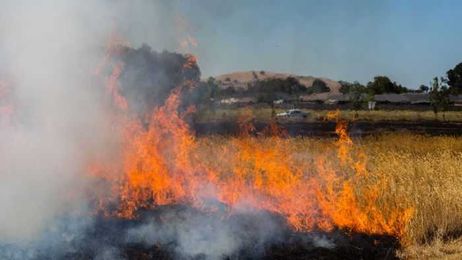 New bushfire prediction technology aims to help frontline emergency teams