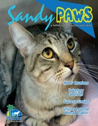 Sandy Paws Goes Digital!