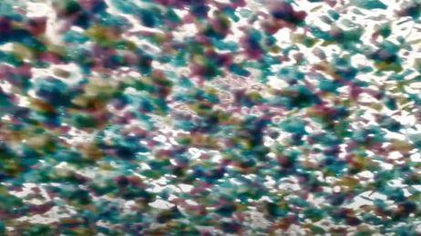 Those Car Wash Videos Are Actually Better For People Than You Think