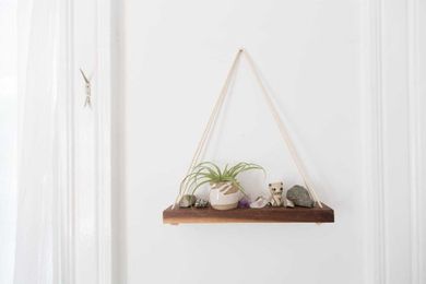 Proof Your Wall Shelves Don’t Have to be Boring