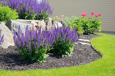 How Landscaping Affects Home Value