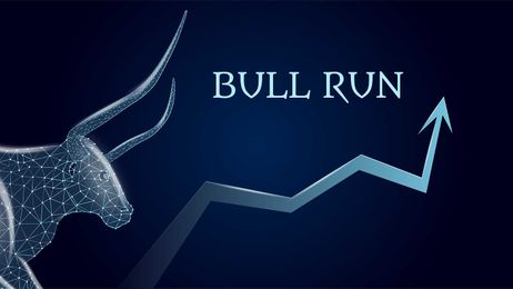 This Flashing LITE Bull Signal Has Never Been Wrong