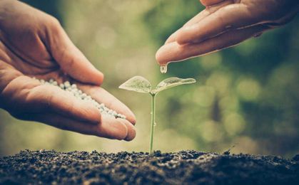 Physicians need growth days