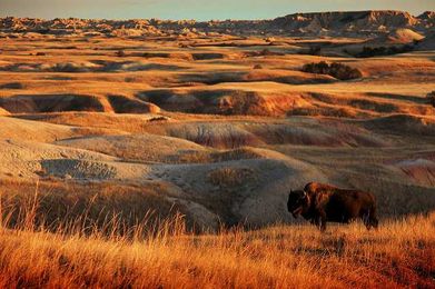 12 Incredible Facts About South Dakota That Could Make You Want To Move