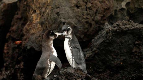 Family travel five: Grab the binoculars and head outdoors