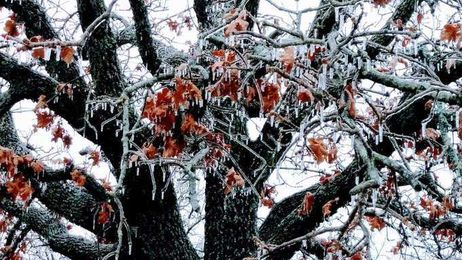 How to protect your pipes