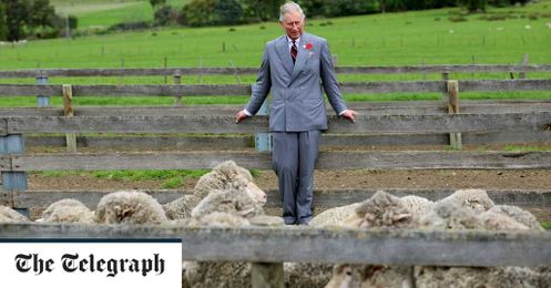 Prince Charles’ half-term nature challenge: plant seeds and paint a paperweight