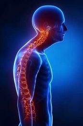 How Chiropractic Helps Patients Who Suffer From Kyphosis