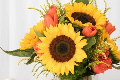 Why Flowers make Perfect Congratulatory Gifts