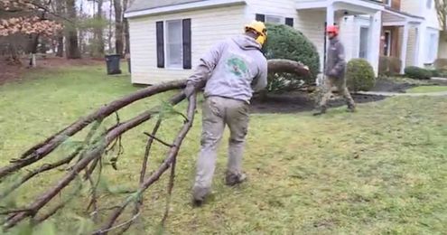 Avoid these tree removal mistakes ahead of an ice storm