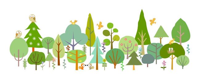 Lunch and Learn: How Forest Bathing Helps Everyone / Zoom