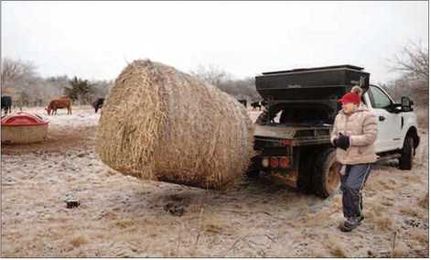 Take steps to maximize available hay 