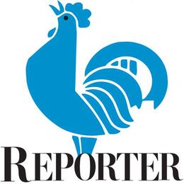 Camera ready? Almond bloom photo opportunity opens