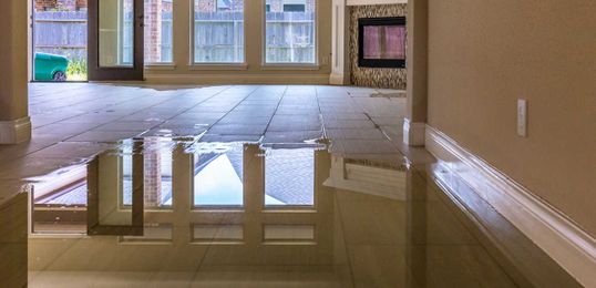 The Most Commonly Delayed Home Repairs