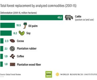 This is how much different commodities contribute to deforestation