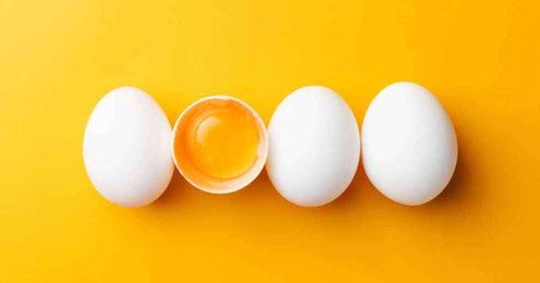 Why You Need Egg Nutrition In Your Life