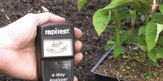 Do this to change the soil pH in your raised garden beds