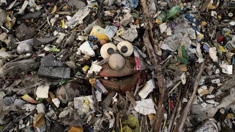Kids Are Being Exposed to a Lot of Concerning Chemicals Through Plastic Toys