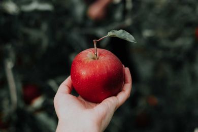 What is the First Sin?  — Be the change