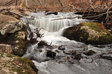 Wander along the pink granite at the Stony Creek Quarry Preserve