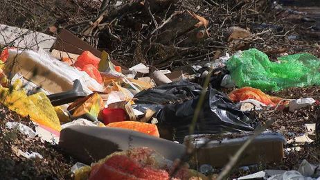 Why do people litter? Expert says trash generates trash