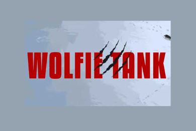 Student Entrepreneurs Rise to WolfieTank Challenge