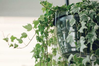 Wholesale Hanging Basket Drip Liners