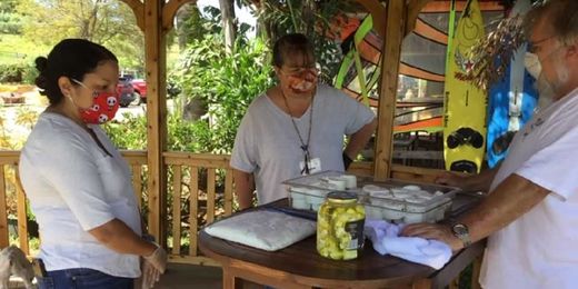 3 Wonderful Reasons to Visit an Agritourism Farm