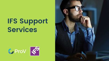 Do you know the benefits of IFS Support Services ?