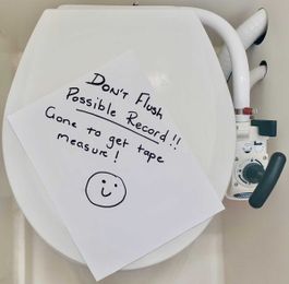 Can You Flush Toilet Paper On a Boat?