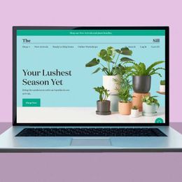 30+ Asian-American-Owned Businesses You Can Support Right Now