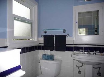 Interior Painters Tip: Dealing With Molds and Mildew On Bathroom Walls