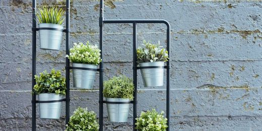 10 Indoor Garden Kits to Spruce Up Your Spring