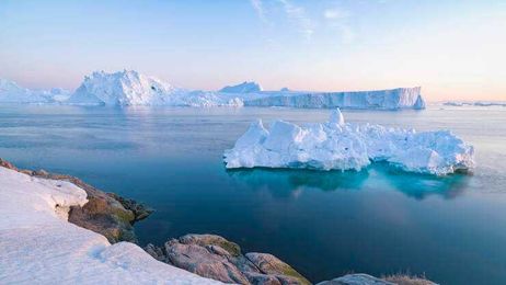 Why People in the Arctic Circle Need a Cage Outside The Door