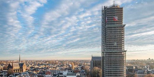 Hand-Restore 10,000 Relics? Heritage Preservation Succeeds in the Cloud