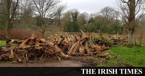 ‘There seems to be a mania, a fetish, to beautify through engineering’