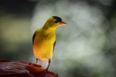 3 Ways to Point to Living Water