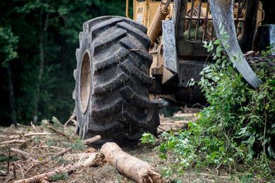 The Forestry Five: Five Must-Have Alliance and Primex Logging Tires